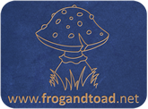 Toy Passport - FROGandTOAD Créations